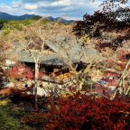 Japonia – listopad 2025. Historycznie